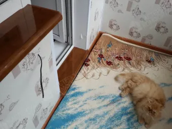 Утепление и отделка балкона ул. Чернышевского