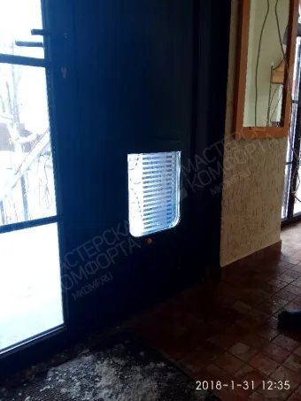 Установка лаза для собаки Волжские Дали